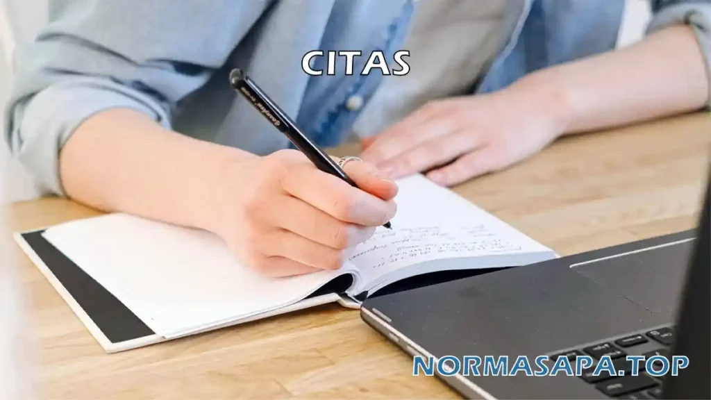 Citas Normas APA